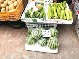 自由吃瓜基地自由,网络舆论场中的自由精神与责任担当