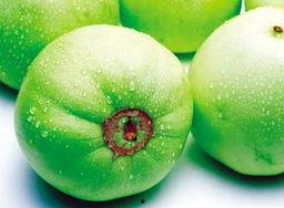 有谁吃瓜,揭秘“有谁吃瓜”背后的八卦盛宴