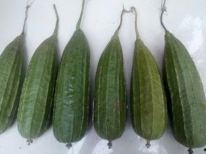 有谁吃瓜,揭秘“有谁吃瓜”背后的八卦盛宴