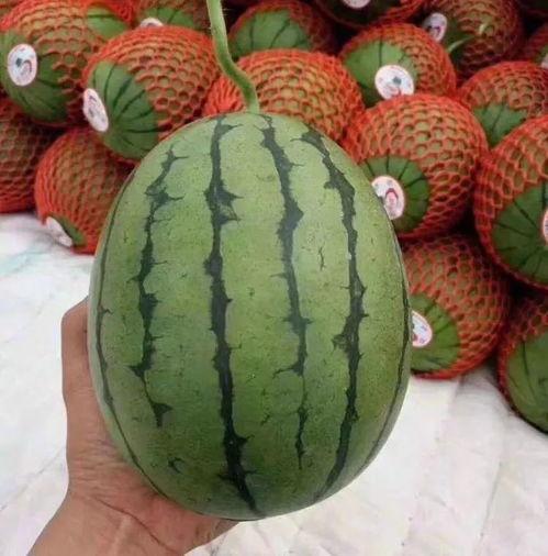 聊天记吃瓜,揭秘聊天记中的那些幕后故事