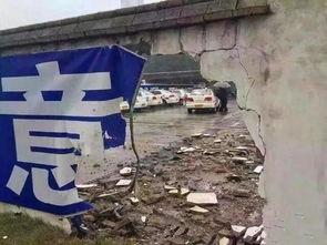 围墙吃瓜事件,一场引发社会热议的公共道德风波