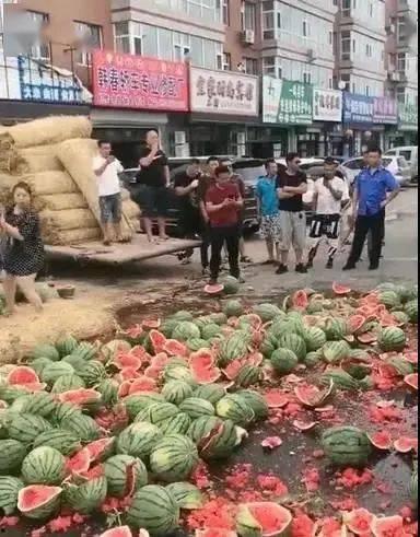 围墙吃瓜事件,一场引发社会热议的公共道德风波