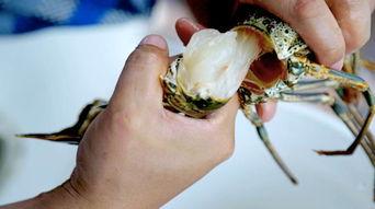 巴拿马吃瓜,揭秘背后的国际风云