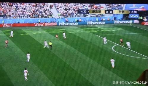 吃瓜群众打球视频下载,一球一世界，下载见证精彩瞬间