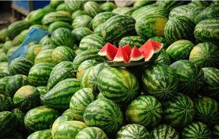 吃瓜发瓜条怎么投稿