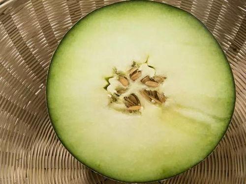 吃蜜瓜怎么切,轻松解锁夏日清新美味