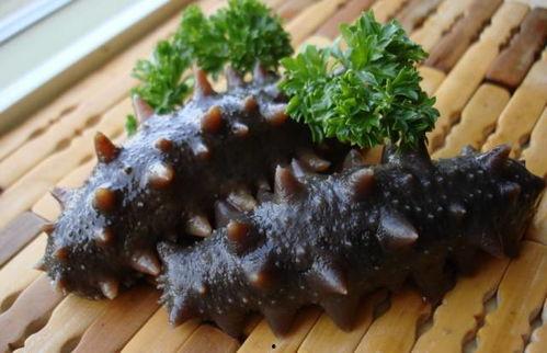 吃口海参吃口瓜好吗,吃口海参，吃口瓜，健康美味两不误