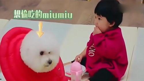 瓜妞吃的啥,探寻她钟爱的美味佳肴